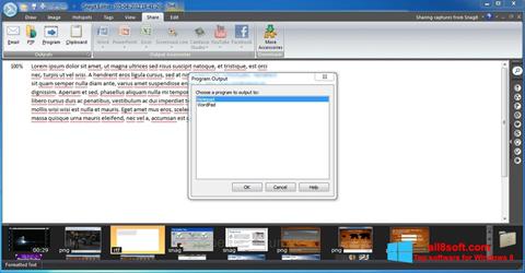 Screenshot Snagit Windows 8