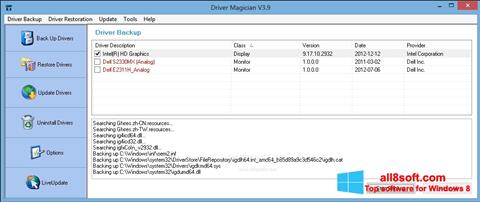 Screenshot Driver Magician Windows 8