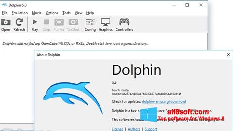 Screenshot Dolphin Windows 8