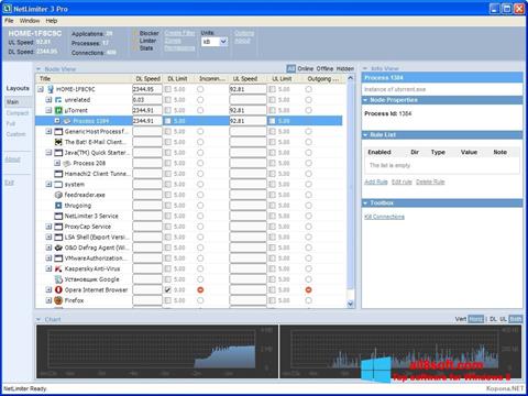 Screenshot NetLimiter Windows 8